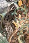 Look Who Is Hiding Closeup 4  Exterior Paint &#38;nbsp;&#38;nbsp;&#38;nbsp; 1994-95