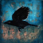 Golden Residency Back Yard Flight 2